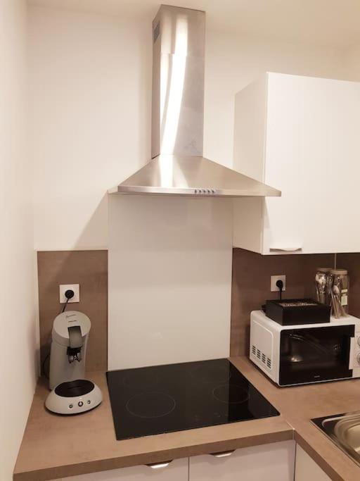 Appartement Le Jeanne 4/6 Couchages, Wifi, Sanctuaire à Lourdes Extérieur photo